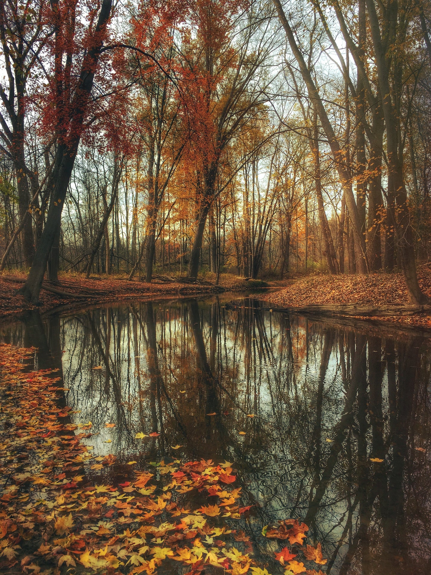 AUTUMN BREEZE